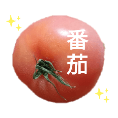 [LINEスタンプ] 台湾人の繁体字で野菜のライン野菜写真