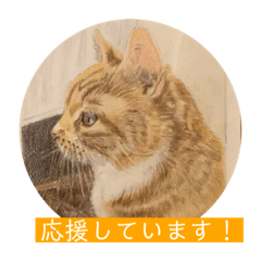 [LINEスタンプ] みーくんからみなさんへ