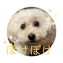 [LINEスタンプ] ひなたちゃんスタンプ第5弾