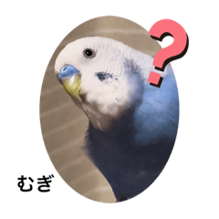 [LINEスタンプ] わたしむぎちゃん2
