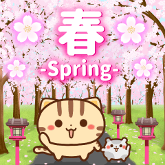 [LINEスタンプ] 春も飛び出す♪ネコちゃん ハムちゃんの画像（メイン）