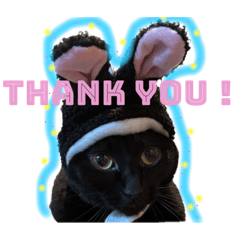 [LINEスタンプ] 我が家黒猫じじちゃん