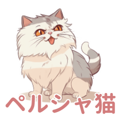 [LINEスタンプ] Tama波斯猫の生活(波斯貓,แมวเปอร์เซีย)