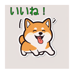 [LINEスタンプ] 柴犬 x 柴犬 です！