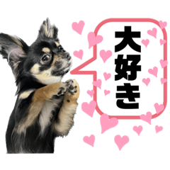 [LINEスタンプ] ピノパルスタンプ②