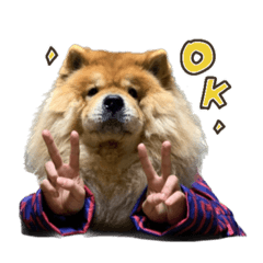 [LINEスタンプ] もっちゃんともふもふの日々3