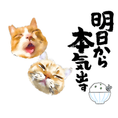 [LINEスタンプ] はる晴(*´`)♡ ❷