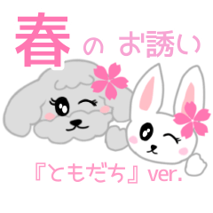 [LINEスタンプ] 【友達】トイプー春のお誘い会話スタンプ