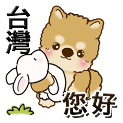 [LINEスタンプ] 柴犬・ちゃちゃ丸 『台湾の言葉』の画像（メイン）