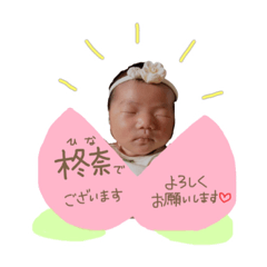 [LINEスタンプ] 吉井家のひなちゃん