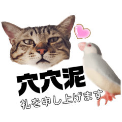 [LINEスタンプ] 日台カップル専用