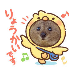 [LINEスタンプ] みさスタe＠Quokkaの普段使い