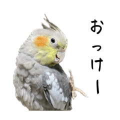 [LINEスタンプ] うちのカワイイちびっこたちPart19