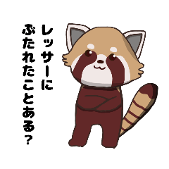 [LINEスタンプ] レッサーパンダにぶたれたことはあるか？