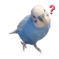 [LINEスタンプ] ぷりおとゆきお