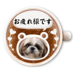 [LINEスタンプ] 可愛いまっくん