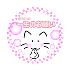 [LINEスタンプ] ネコのみっちゃスタンプ006