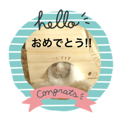 [LINEスタンプ] 小粒コレクション
