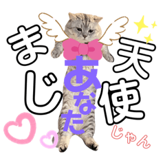 [LINEスタンプ] ねこの銀次くん2