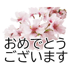 [LINEスタンプ] *花*桜 ていねいVer.