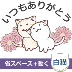 [LINEスタンプ] 動く顔の丸い白猫