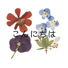 [LINEスタンプ] 実用性のある花のスタンプ(手抜き)