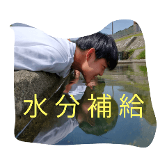 [LINEスタンプ] 使いたいスタンプ   第1弾