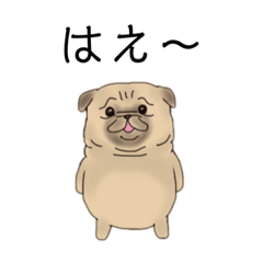 [LINEスタンプ] 日常用パグちゃ