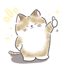 [LINEスタンプ] 日常会話 ねこさんスタンプ