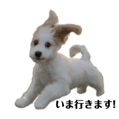 [LINEスタンプ] リビンくん！
