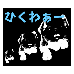 [LINEスタンプ] さーちんず5