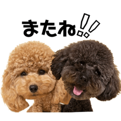 [LINEスタンプ] おはぎ君♡きなこ君deformation