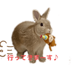 [LINEスタンプ] ミニうさぎポコちゃん