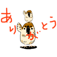 [LINEスタンプ] 「ちゅちゅん」と「ちゅん」