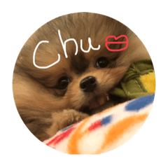 [LINEスタンプ] LINEでよく使うことば集めてみた