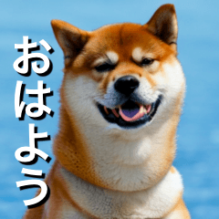[LINEスタンプ] 柴犬 Shiba Inu