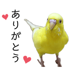 [LINEスタンプ] 我が家のなかまたち2