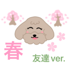 [LINEスタンプ] 【友達】トイプードルブラウン春のスタンプ