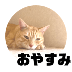 [LINEスタンプ] クルタ de あいさつ