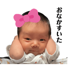 [LINEスタンプ] こあくんのおすたんぷ♪