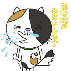 [LINEスタンプ] みけ猫ミケルの春スタンプ