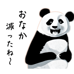 [LINEスタンプ] 気まぐれなパンダ