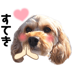 [LINEスタンプ] ウリエルちゃん♡BIG Face