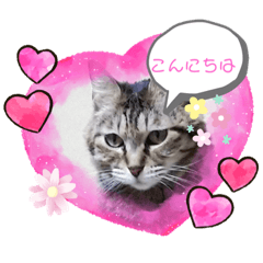 [LINEスタンプ] くるみ♡やまとの画像（メイン）