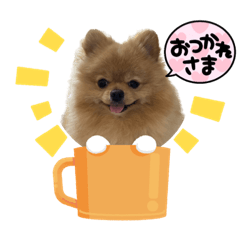 [LINEスタンプ] ポメラニアンぽん太の使えるスタンプ2