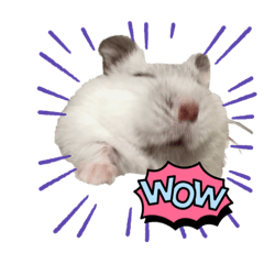 [LINEスタンプ] きなことリリー
