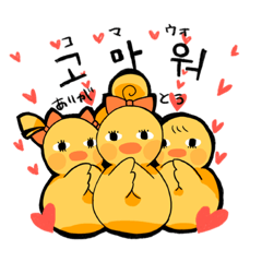 [LINEスタンプ] をとひよこ（韓国語版）