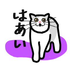 [LINEスタンプ] ボールド・猫ちゃん