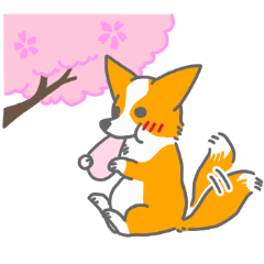 [LINEスタンプ] キツネみたいなしっぽのコーギー 春版