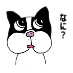 [LINEスタンプ] すぐマネする〜